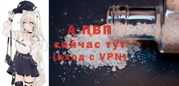 PSILOCYBIN Киренск