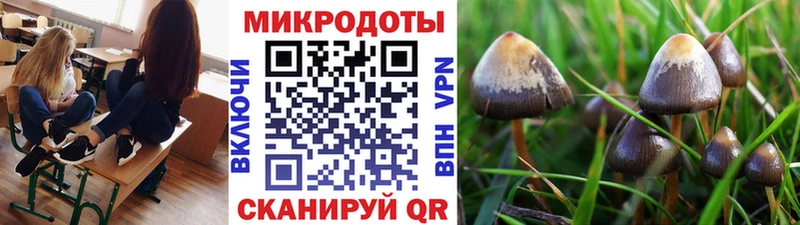 Галлюциногенные грибы мухоморы  Сафоново 